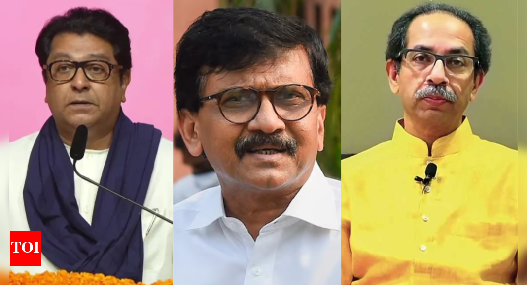 ‘There is pressure...’: Will Sena (UBT) tie up with MNS for BMC polls? Sanjay Raut responds