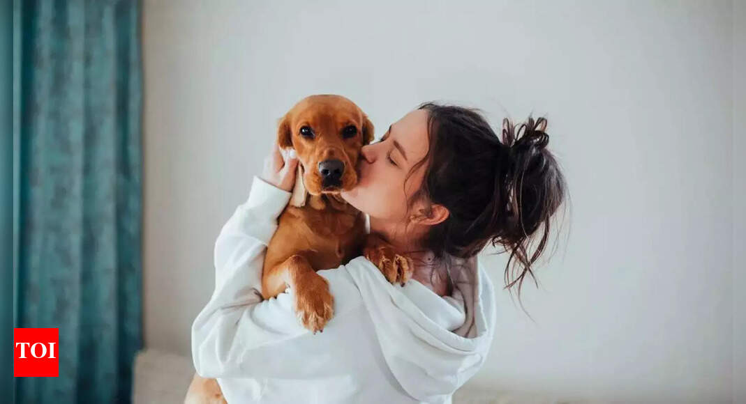 Trips to the vet costing a bomb? Maybe it’s time to get pet insurance