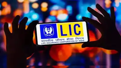 Government to sell LIC minority stake; DIPAM to finalise plan; 96.5% holding remains after 2022 IPO