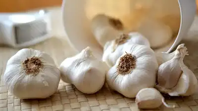 Is eating excess garlic on empty stomach safe for your health? Know its benefits and side effects