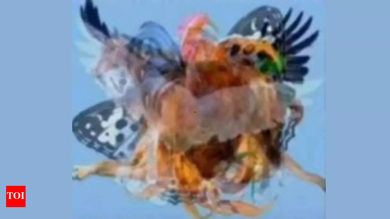 Optical illusion personality test: The animal you see first reveals your  true nature - Times of India