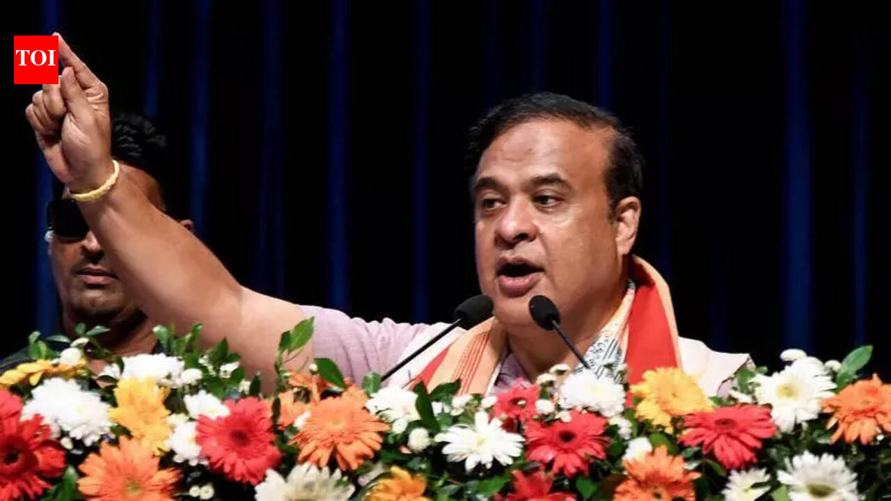 Assamese will remain official language: Sarma after census row ...