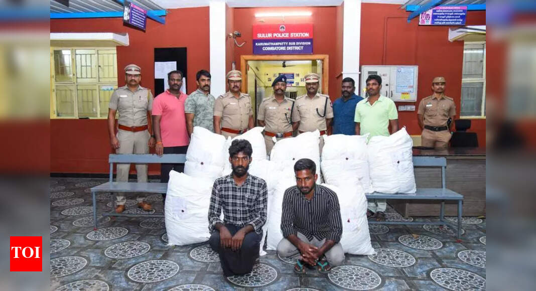 The Times of India - Politics - News Image