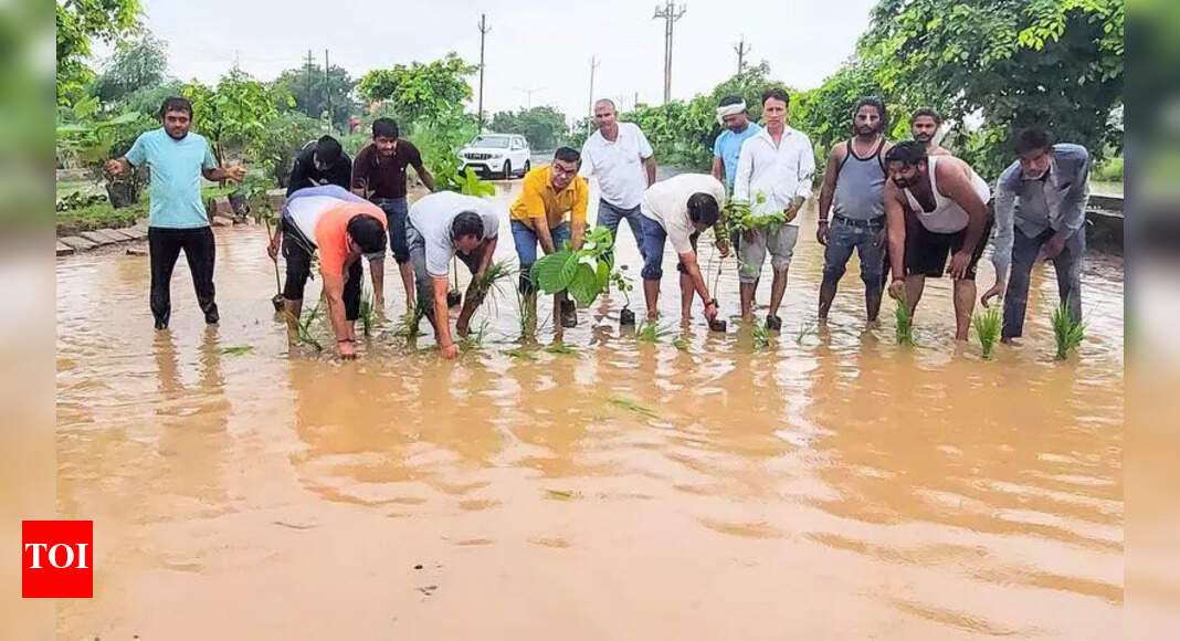 The Times of India - Other - News Image