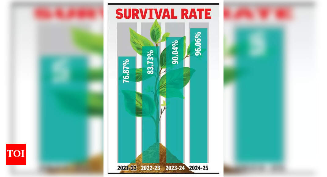 The Times of India - Other - News Image