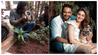 Parag Tyagi plants trees in the memory of his Late wife, Shefali Jariwala: 'Pari always wanted to give back the love the world has showered on her'
