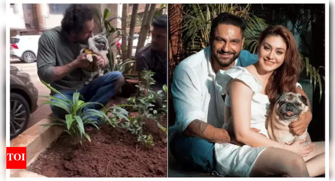 Parag plants trees in the memory of Shefali Jariwala
