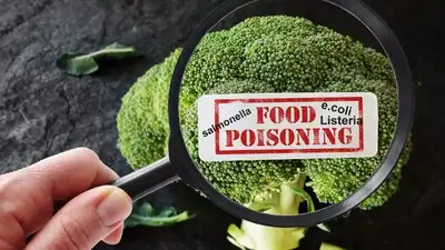 What causes food poisoning: Know its symptoms and treatment