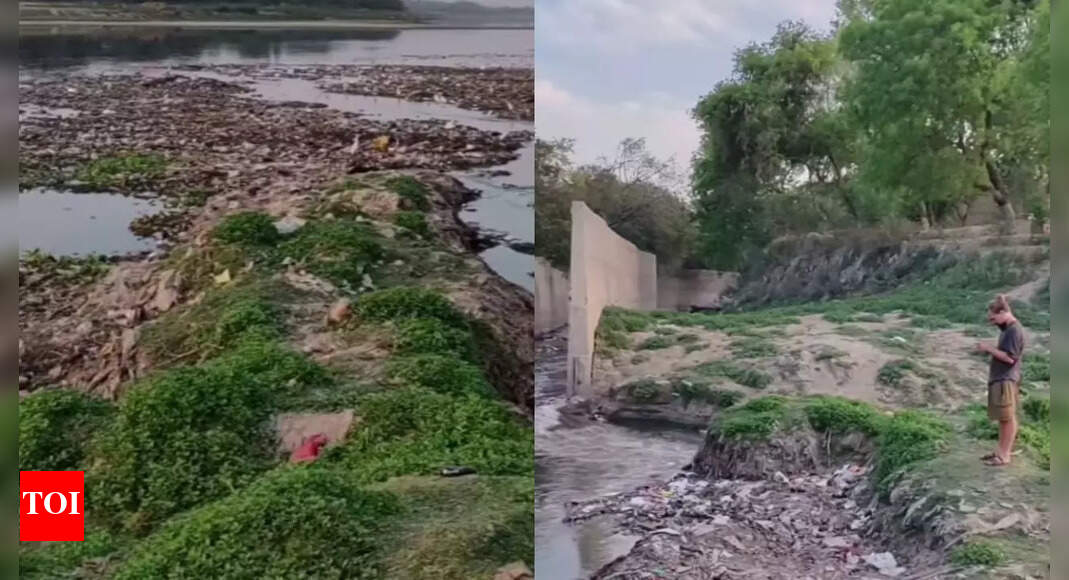 Filth behind beauty: Polish tourists highlight garbage near Taj Mahal, say ‘it stinks terribly’
