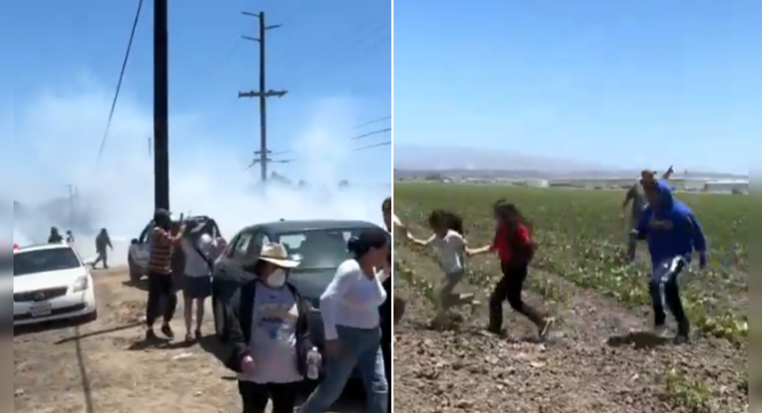 'He’s the real scum': California guv Newsom hits back at Trump - shares video of chaotic fed raids