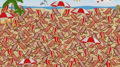 credit: jagranjosh Optical illusion test: Only people with "4k visual power" can spot the skis in 5 seconds!