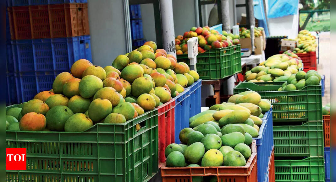 Mango Map: Where the King of Fruits Reigns Supreme