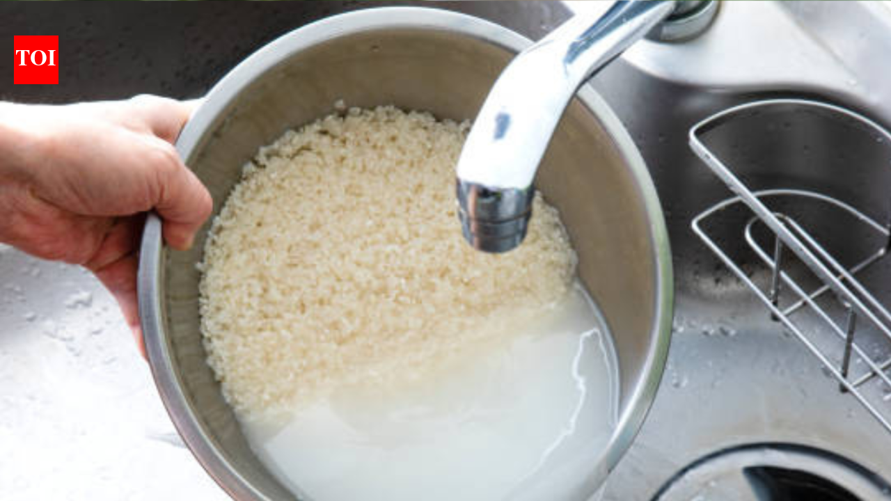10 ways to use discarded cooked rice water | The Times of India