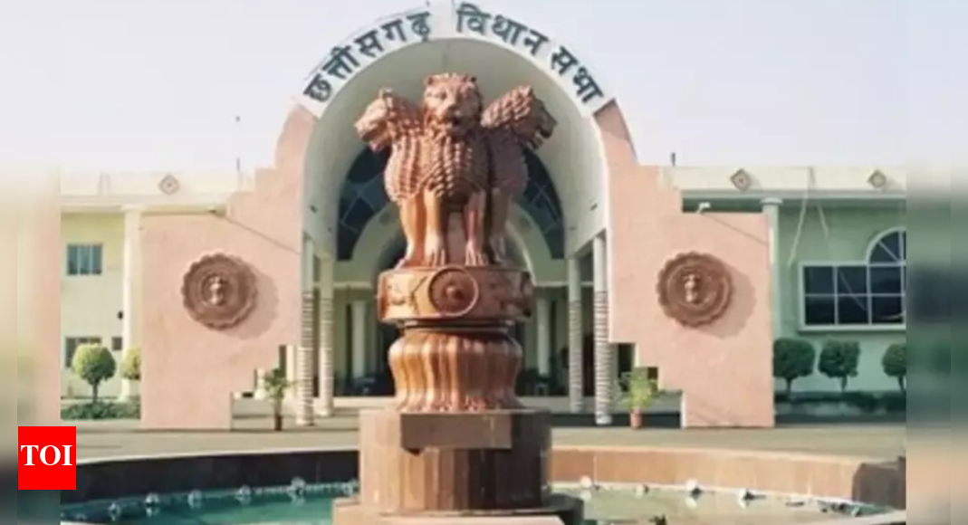Differently-abled to gherao Chhattisgarh Assembly over 6-point demand, seek inclusion in Mahtari Vandan Yojana | Raipur News - Times of India