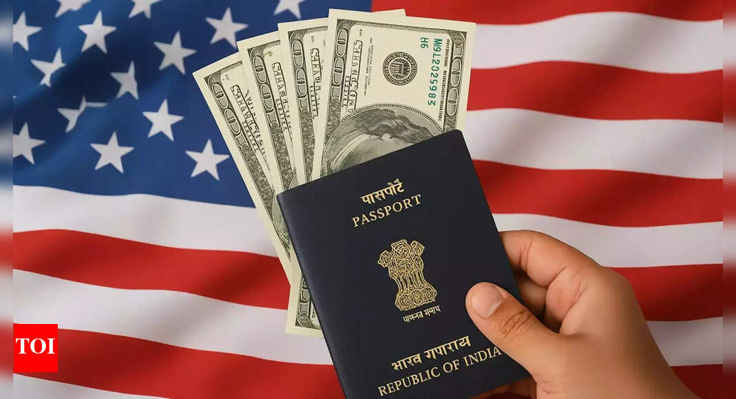 US Visa to add $250 integrity fee: What's it, who all it will impact; total visa cost post this