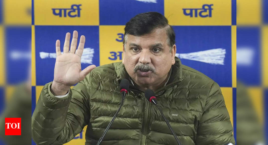 AAP will go it alone in Bihar assembly polls: Rajya Sabha MP Sanjay Singh
