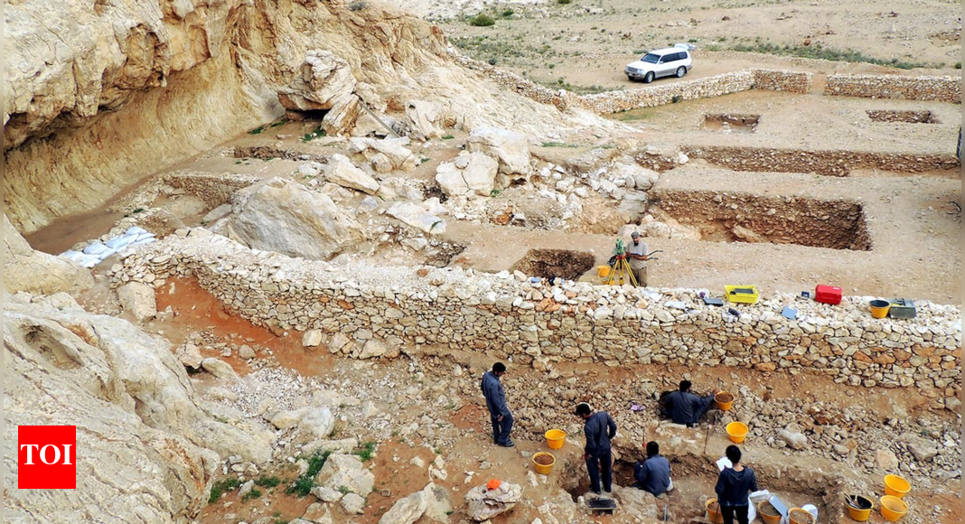featured image for post UAE Faya Palaeolandscape in Sharjah added to UNESCO World Heritage list as second national site