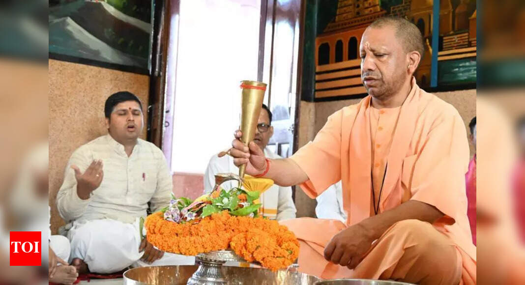 The Times of India - Politics - News Image