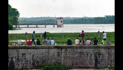 Rain takes pause, brings major respite to Vidarbha