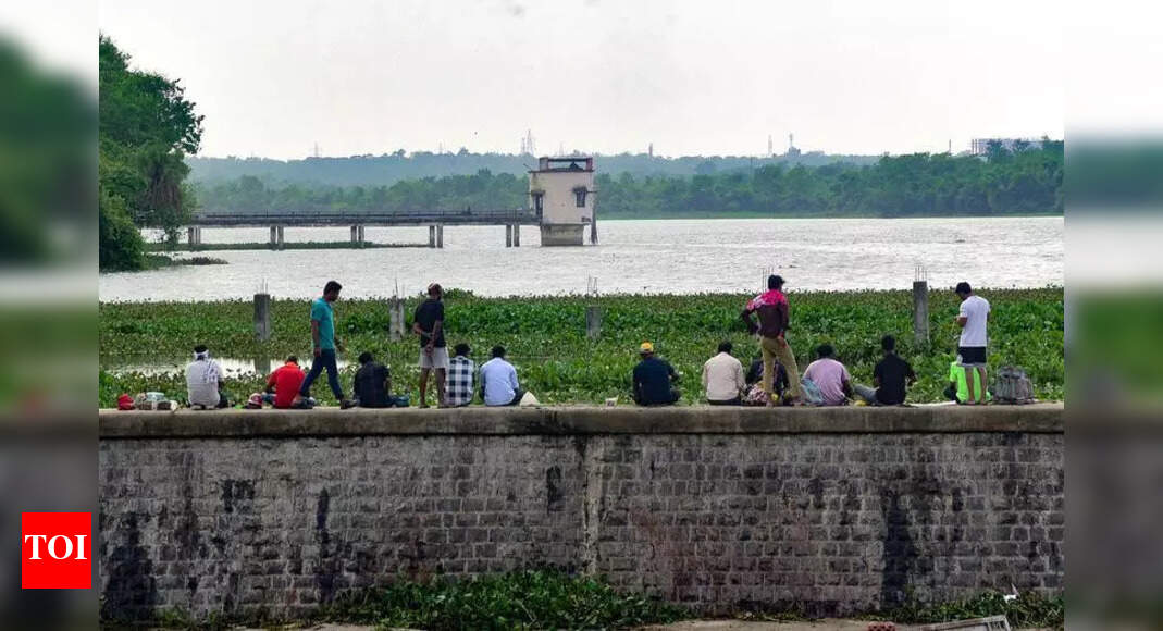 Rain takes pause, brings major respite to Vidarbha
