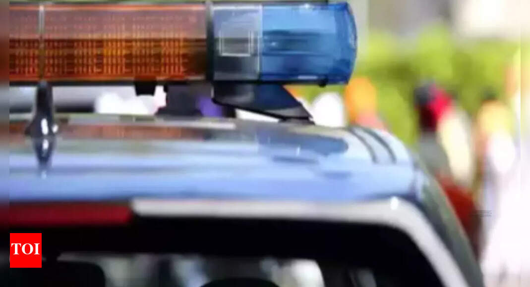 ‘Chicken' dispute turns fatal: Man run over by car in MP; mother witnesses horror