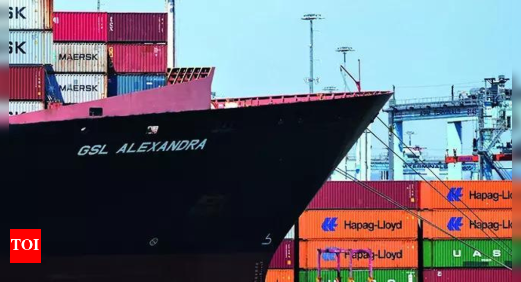 Trade worry: Sri Lankan exporters flag 30% proposed US tariff; Apparel, rubber sectors may take hit - Times of India