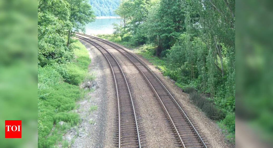 The Times of India - Other - News Image