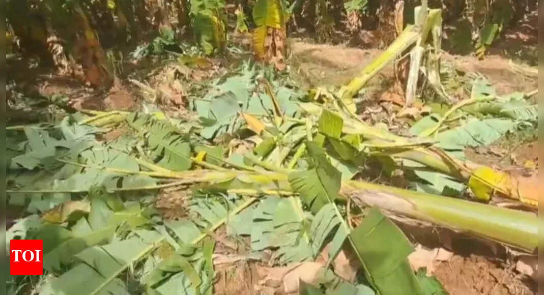 The Times of India - Business - News Image