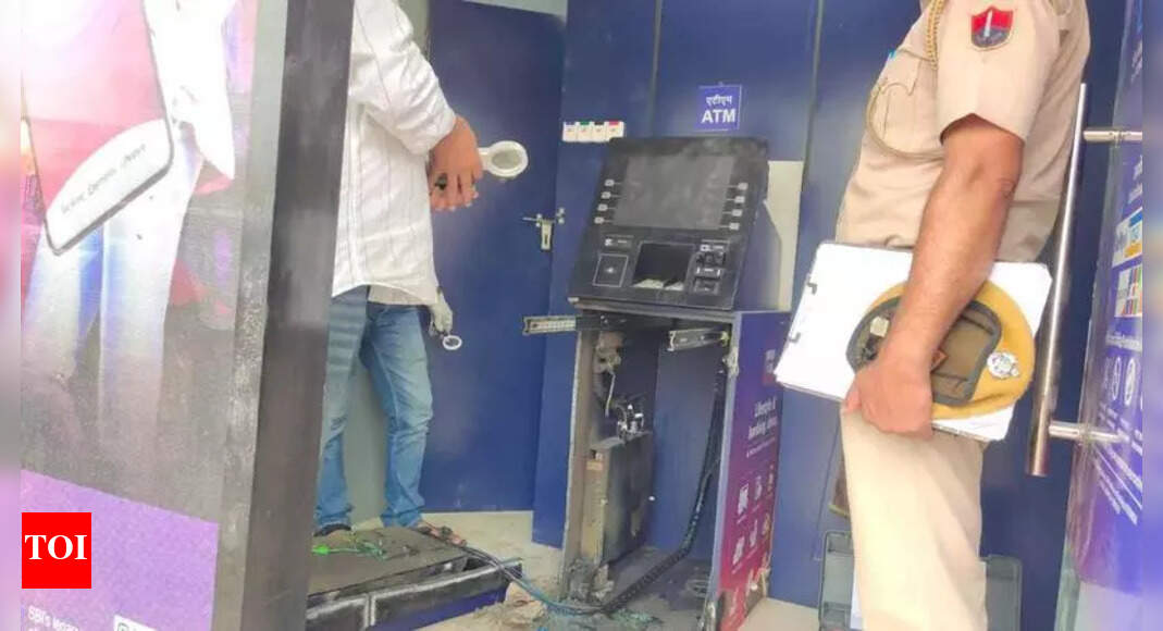 The Times of India - Business - News Image