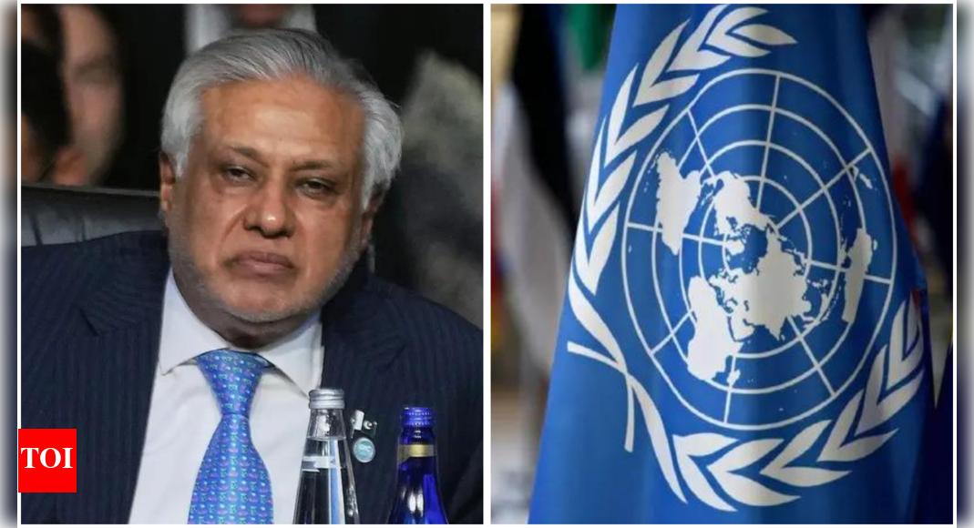 As UNSC president, Pakistan looks to up ante on Kashmir issue