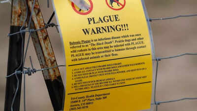 Arizona resident dies from pneumonic plague; What to know about the disease (symptoms, risk factors, treatment inside)