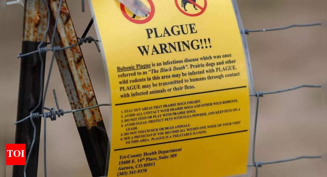 Arizona resident dies from pneumonic plague; know about the disease