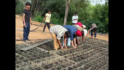 Waste to wonder: India’s first road trial with plastic used for construction; Military and NHAI to test for load-bearing efficiency