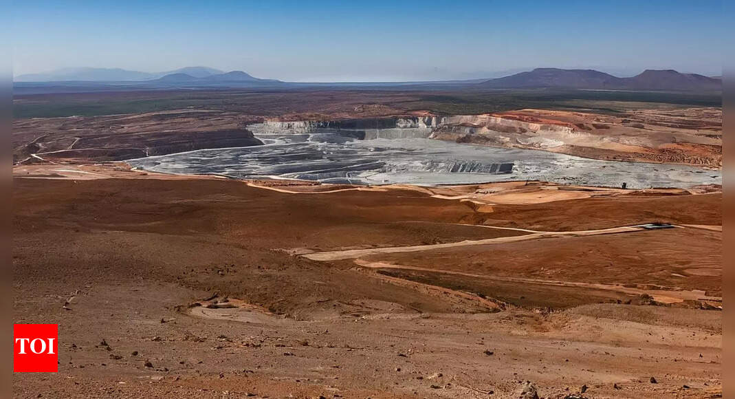 NLC India in advanced talks with Russian firm; to source lithium from African mines - check details