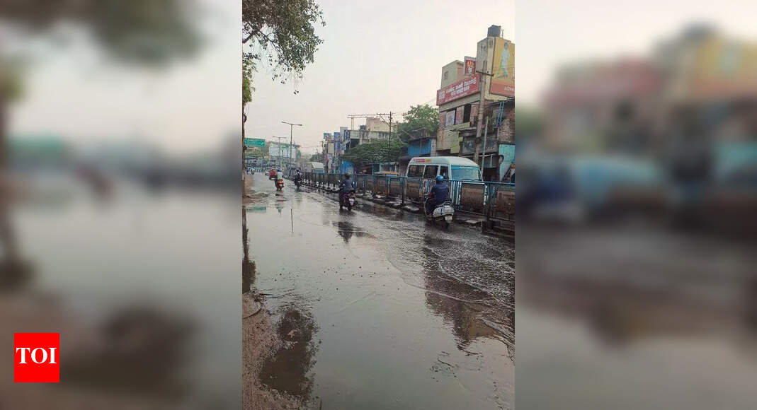 GCC to raise canal walls to curb flooding, waste dumping | Chennai News - Times of India