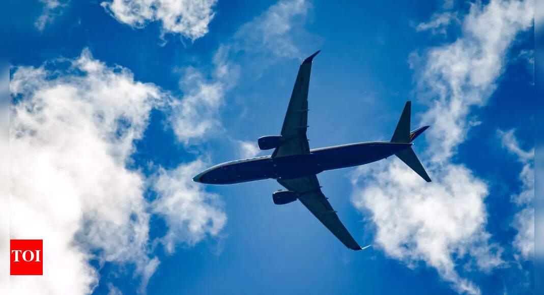 Airport alert: These everyday snacks are banned from carry-on bags on flights by TSA | – Times of India