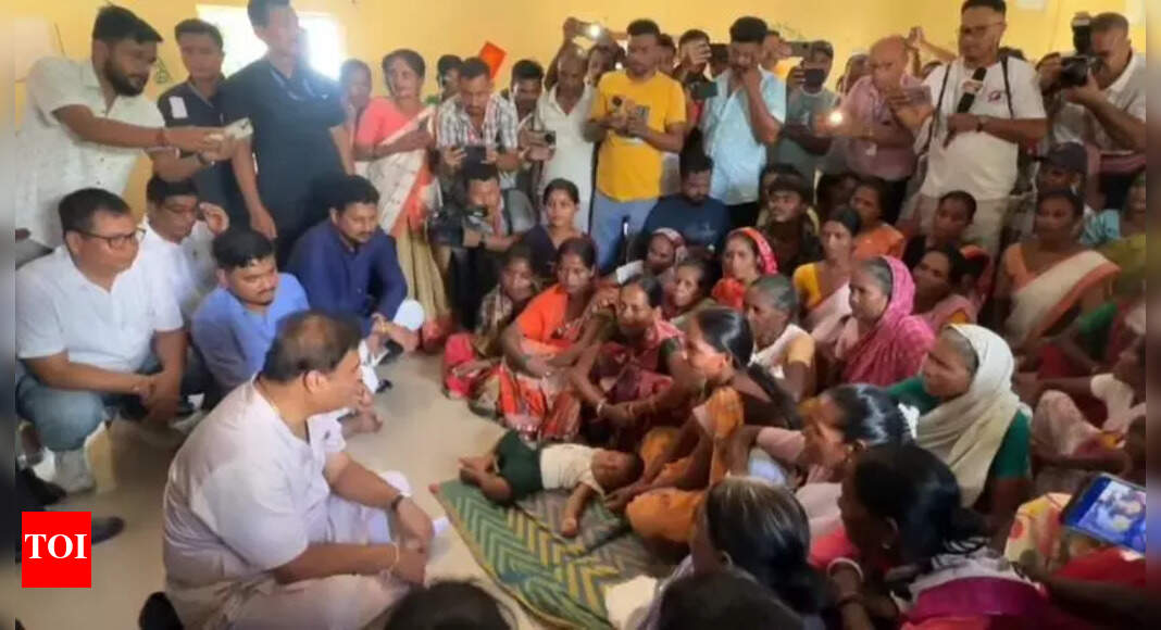 The Times of India - Politics - News Image