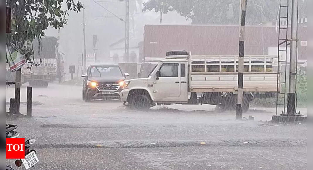 Rainfall expected in several dists this week