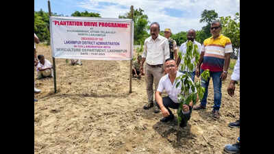 Lakhimpur launches Som plantation drive to boost Muga silk industry
