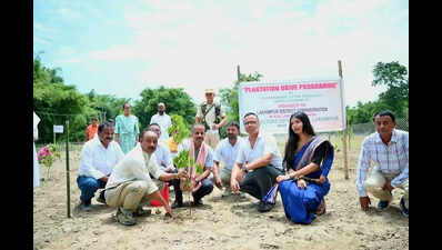 Lakhimpur launches Som plantation drive to boost Muga silk industry
