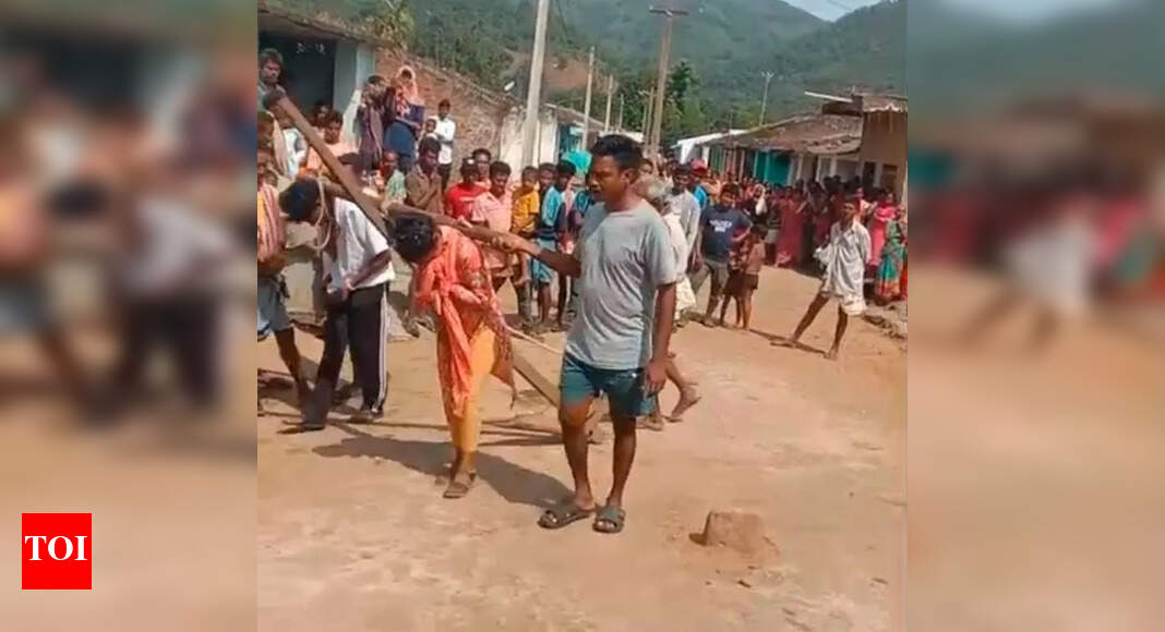 The Times of India - Other - News Image