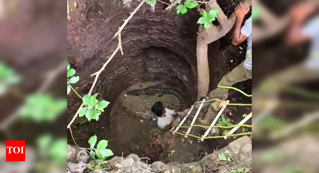 The Times of India - Other - News Image