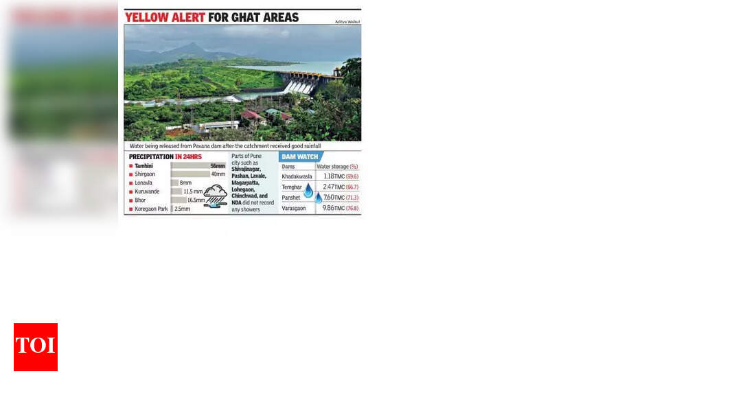 The Times of India - Business - News Image