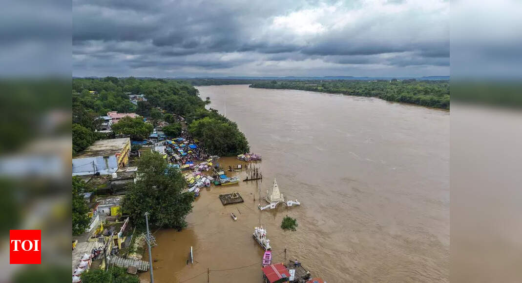 Rain rage: 3 of a family washed away in Sehore, 2 dead in Datia | Bhopal News - Times of India
