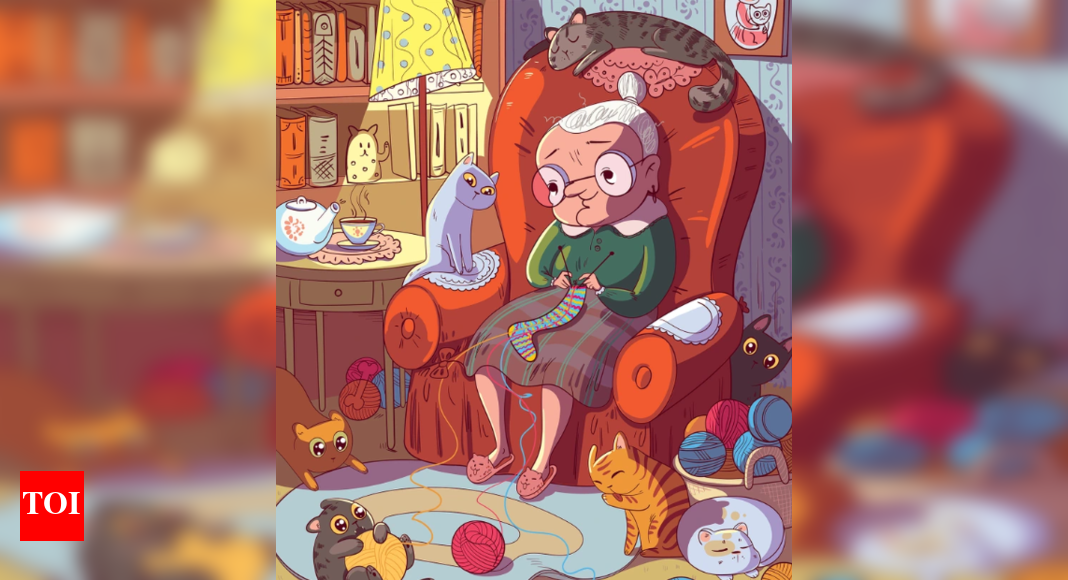 Challenge: Only a true animal lover can correctly spot the exact number of cats in the room in 15 seconds – Times of India