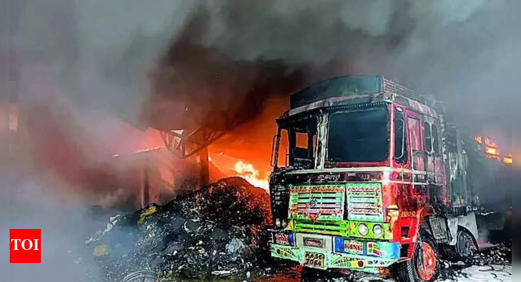 The Times of India - Business - News Image