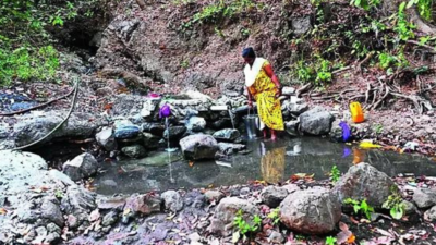 Panel orders action against IIT-Bombay under SC/ST Act for denying tribals water