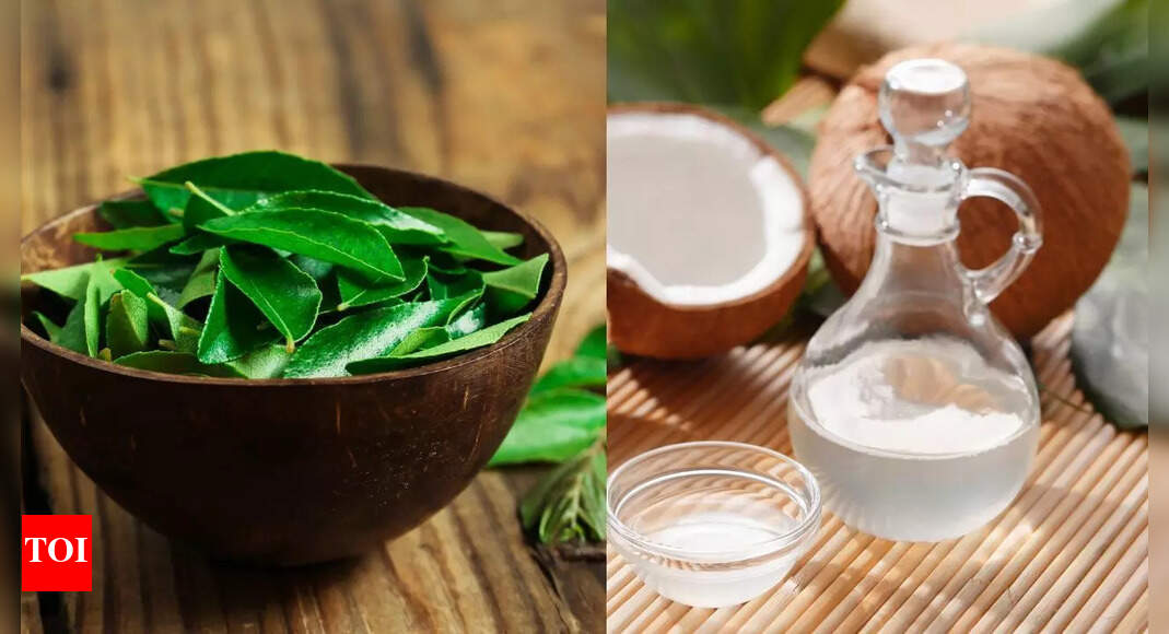 Curry leaves and coconut oil combo is the secret for shiny, smooth, and healthy hair | – Times of India