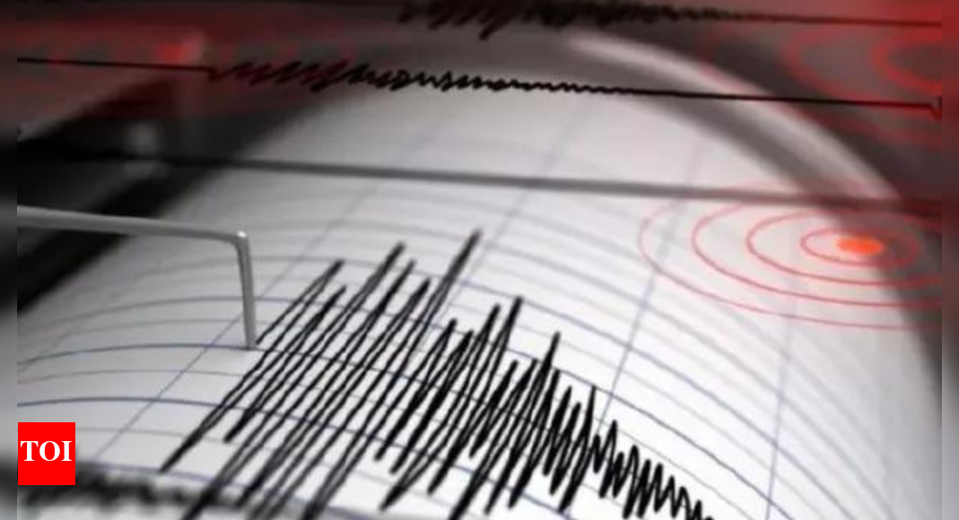 Indonesia: 6.5 magnitude earthquake hits Tanimbar Islands