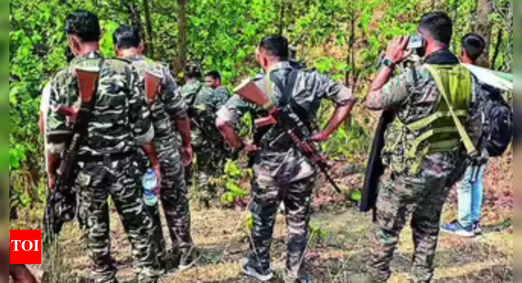 The Times of India - Other - News Image